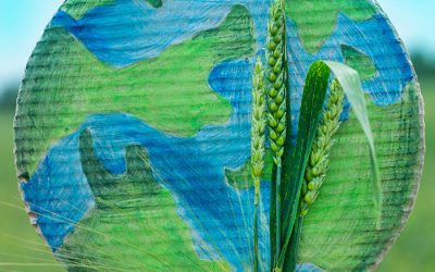 Environmental Services 2 Is Red Diesel Better than Green Diesel?